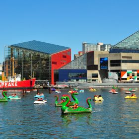 Baltimore's National Aquarium